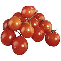 Ramati-Cherrytomaten