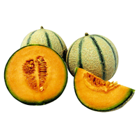 Charentais-Melonen