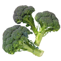 Brocoli