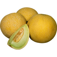 Melons Galia