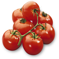Tomates en grappes