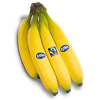 Fairtrade Bananen