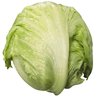 Eisbergsalat
