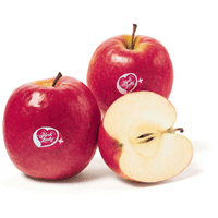 Pink Lady Kl. I IP-Suisse