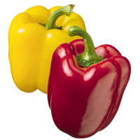 Poivrons colorés